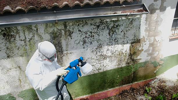 Trusted Mold Testing service in Maugansville, MD - Cheap Mold Removal